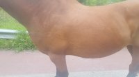 20170608_190654-min.jpg