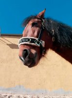 IMG_20180302_223254.jpg