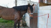 20160508_204437.jpg