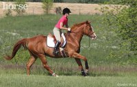 hand-gallop_800.jpg