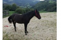 masai septiembre.jpg