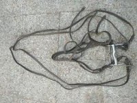 1569945294112.jpg