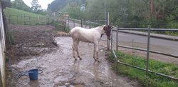 IMG-20200421-WA0003.jpeg