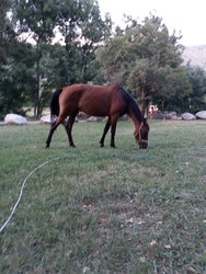 IMG_20200731_204647.jpg