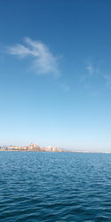 IMG_20201029_121310.jpg