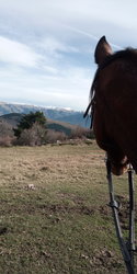 IMG_20201113_140739.jpg
