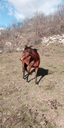 IMG_20201119_130721.jpg