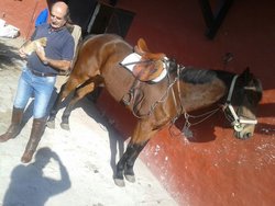 IMG-20170517-WA0006.jpg