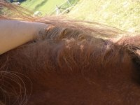 IMG_20190617_180025.jpg