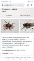 Screenshot_20190909_145033_com.android.chrome.jpg
