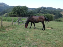 IMG_20190724_190553.jpg