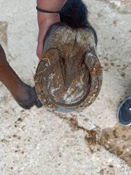 IMG_20200531_183828.jpg