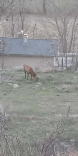 IMG_20210326_191012.jpg