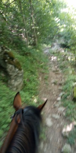IMG_20210813_140418.jpg