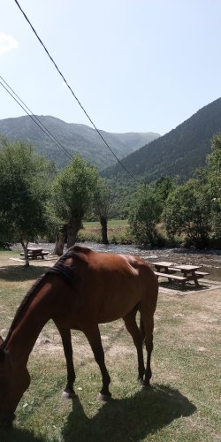 IMG_20210813_142912.jpg