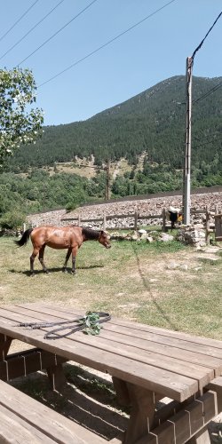 IMG_20210813_142849.jpg