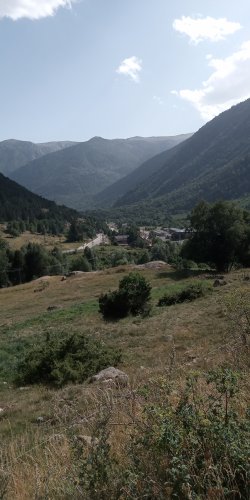 IMG_20210813_170125.jpg
