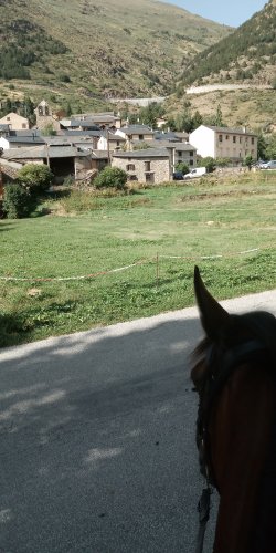 IMG_20210813_171045.jpg