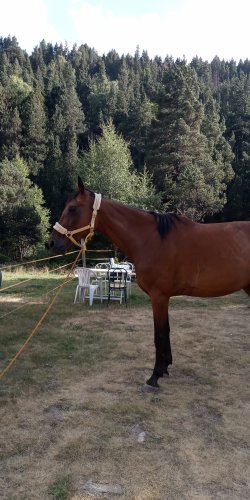 IMG_20210813_182205.jpg