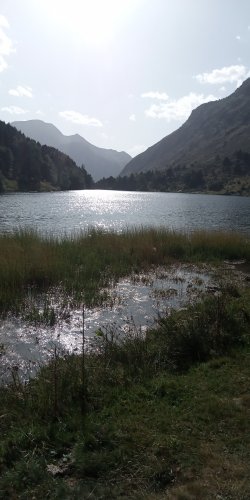 IMG_20210813_175217.jpg
