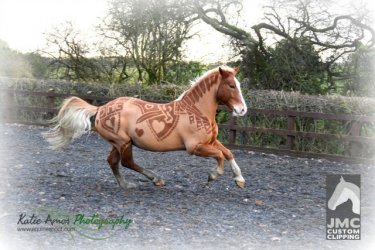 custom-clipping-horses-2_tc2f7i.jpeg