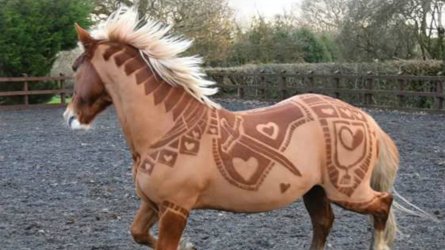 custom-clipping-horses.jpeg
