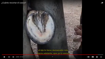 Captura de pantalla (58).png