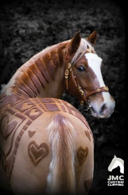 custom-clipping-horses-1_bnkdss.jpeg