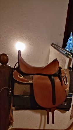 IMG_20220106_201940.jpg