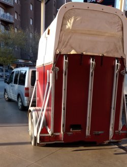1654787095553 van dos.jpg