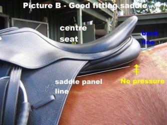 saddle fit.jpg