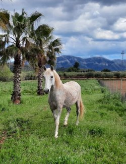 WhatsApp Image 2022-06-27 at 9.25.28 PM (1).jpeg