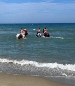 IMG_20230902_082857.jpg
