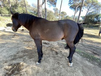 IMG_4480.jpeg IMG_4480.jpeg