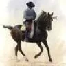 whitehorse