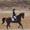 caroldressage