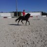samii