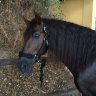 MARTAllobet