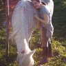 NereaHorseLover
