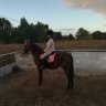 ClauHorses