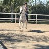 Zoe.C