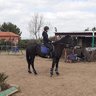 mayra
