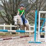 #equestrian_love