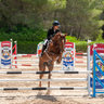 Ana Horse Jumper
