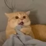 CarlaMC