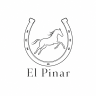 centroecuestreelpinar