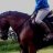 Horsie