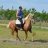 quintans