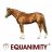 Equanimity