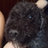 Shiio.